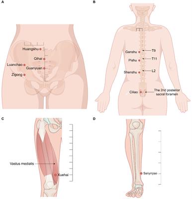 Spontaneous pregnancy after thread-embedding therapy treatment with premature ovarian insufficiency after unilateral oophorectomy: a case report